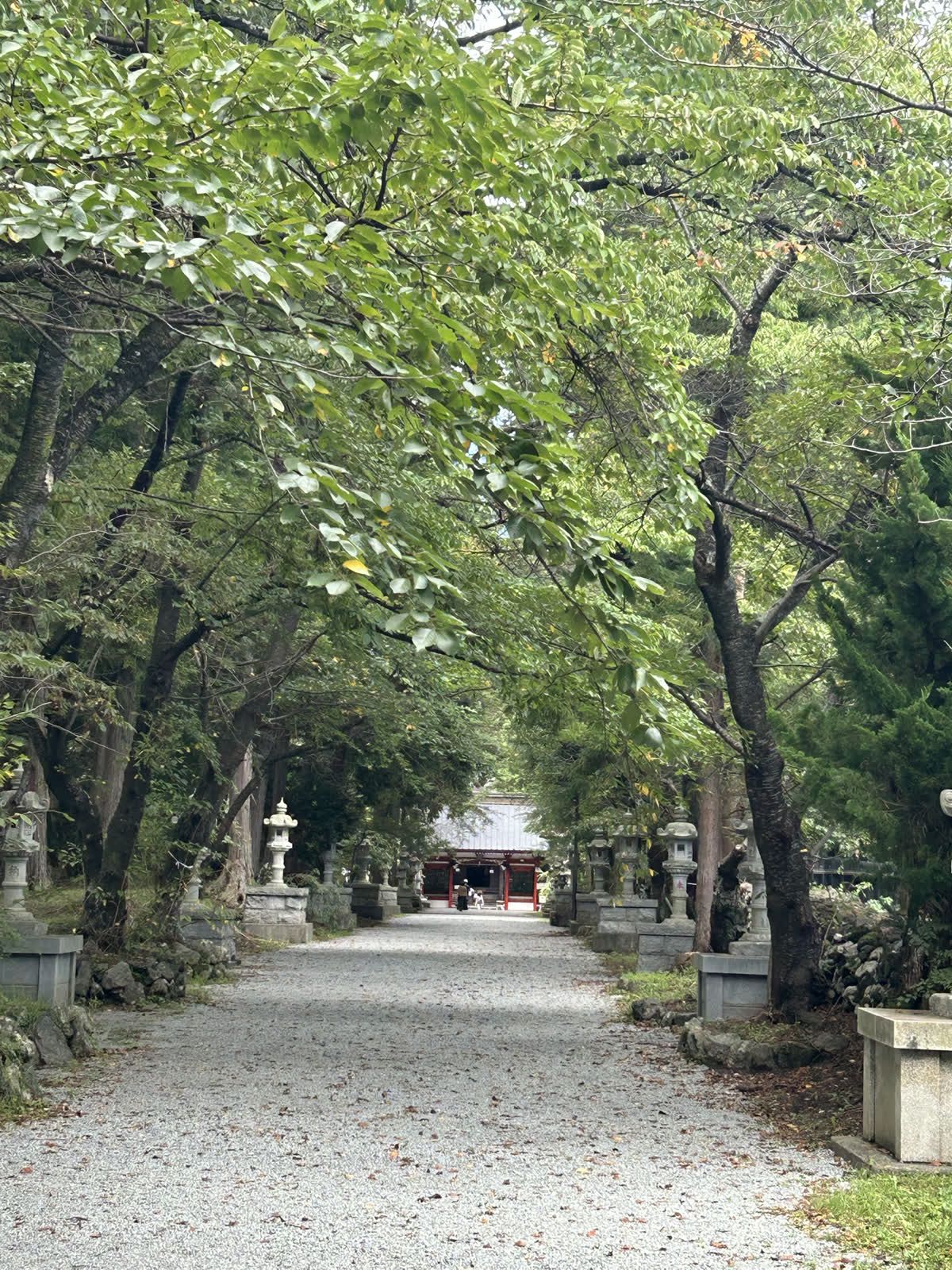 木々に囲まれた冨士御室浅間神社の長い参道
